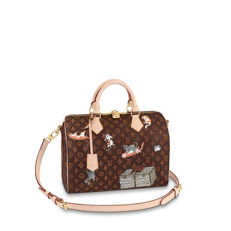 lv speedy 30 price on 2013